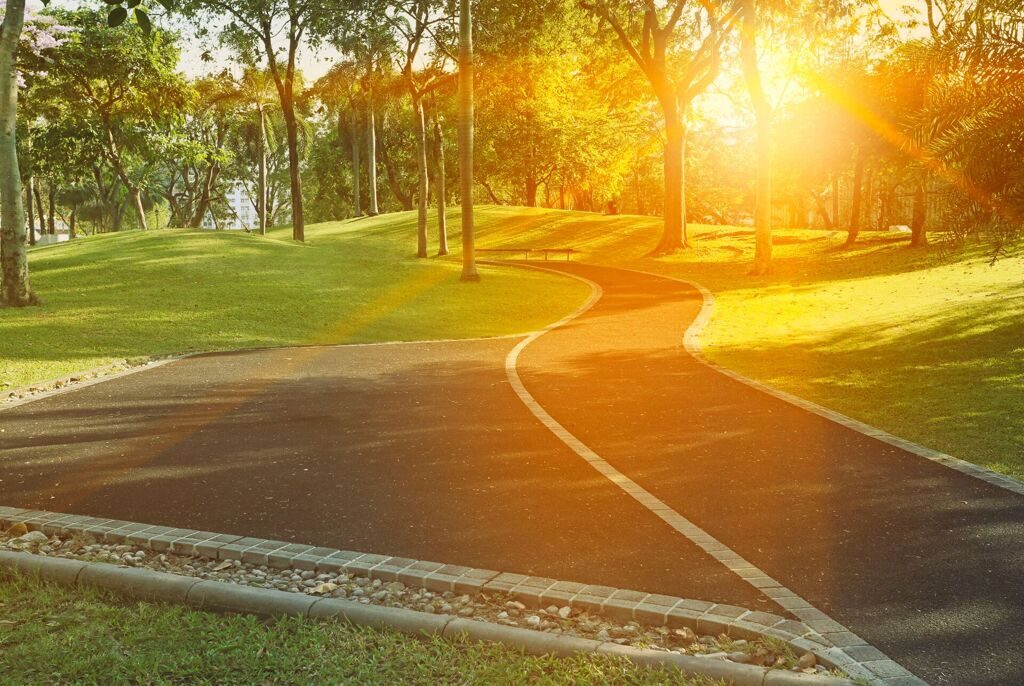 Озеленение и благоустройство территории в Москве и области